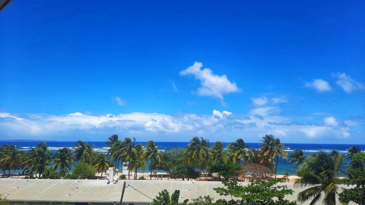 Studio T1 Bis La Belle Vue, Vue Mer, Wifi, Plage A 50M Le Moule Dış mekan fotoğraf